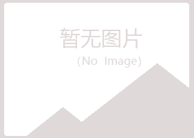 乐山冰夏采矿有限公司